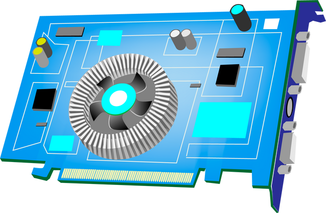 Computer Graphic Card or Video Card.